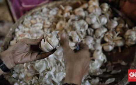 Pengusaha Ungkap Biang Kerok Harga Bawang Putih Meroket