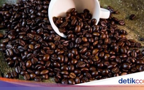 8 Biji Kopi Terbaik di Dunia, Ada yang Berasal dari Indonesia!