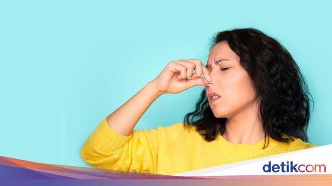 Pilek dan Hidung Tersumbat? Atasi dengan Konsumsi 5 Makanan Enak Ini