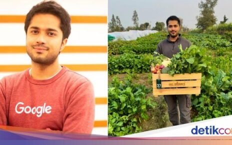 Mantan Pekerja Google Sukses Jadi Petani di Kampung Halaman