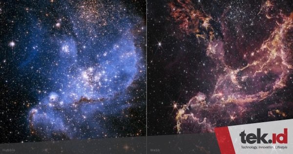Teleskop Webb NASA dukung temuan tentang pembentukan planet
