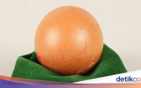 Wow! Sebutir Telur Bulat Sempurna Ini Terjual Rp 4,1 Juta