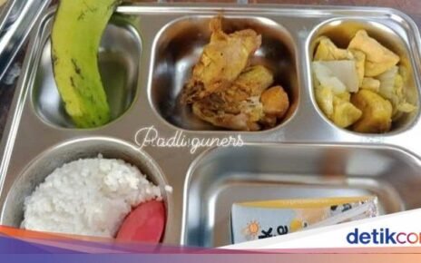 10 Potret Menu Makan Bergizi Gratis yang Viral di Media Sosial