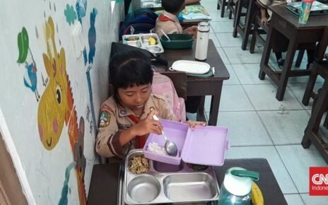 Badan Gizi Izinkan Masyarakat Foto Menu Makan Bergizi Gratis