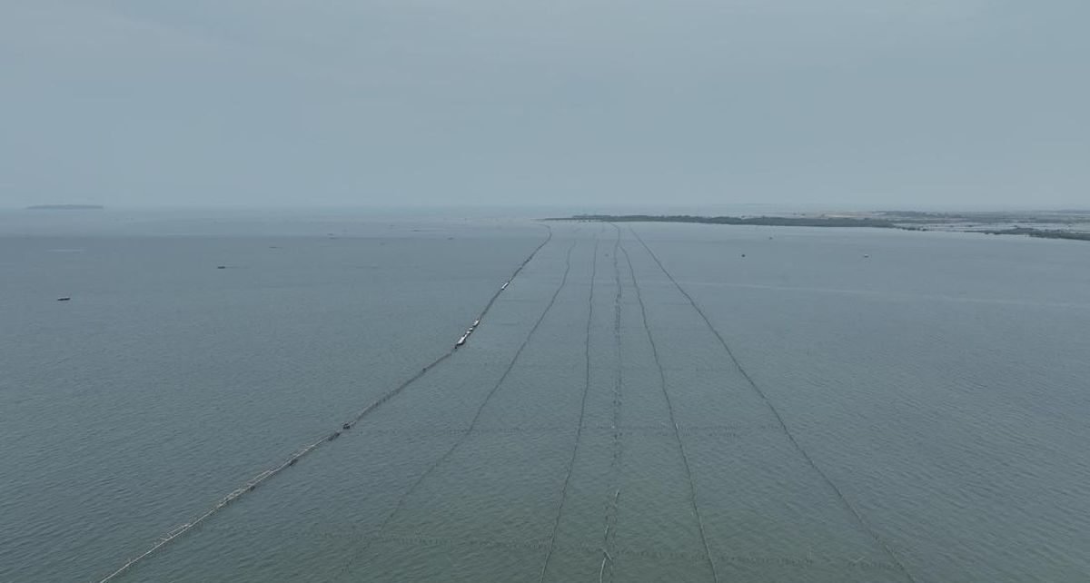Siapa Pemilik Pagar Laut Misterius 30 KM di Tangerang?