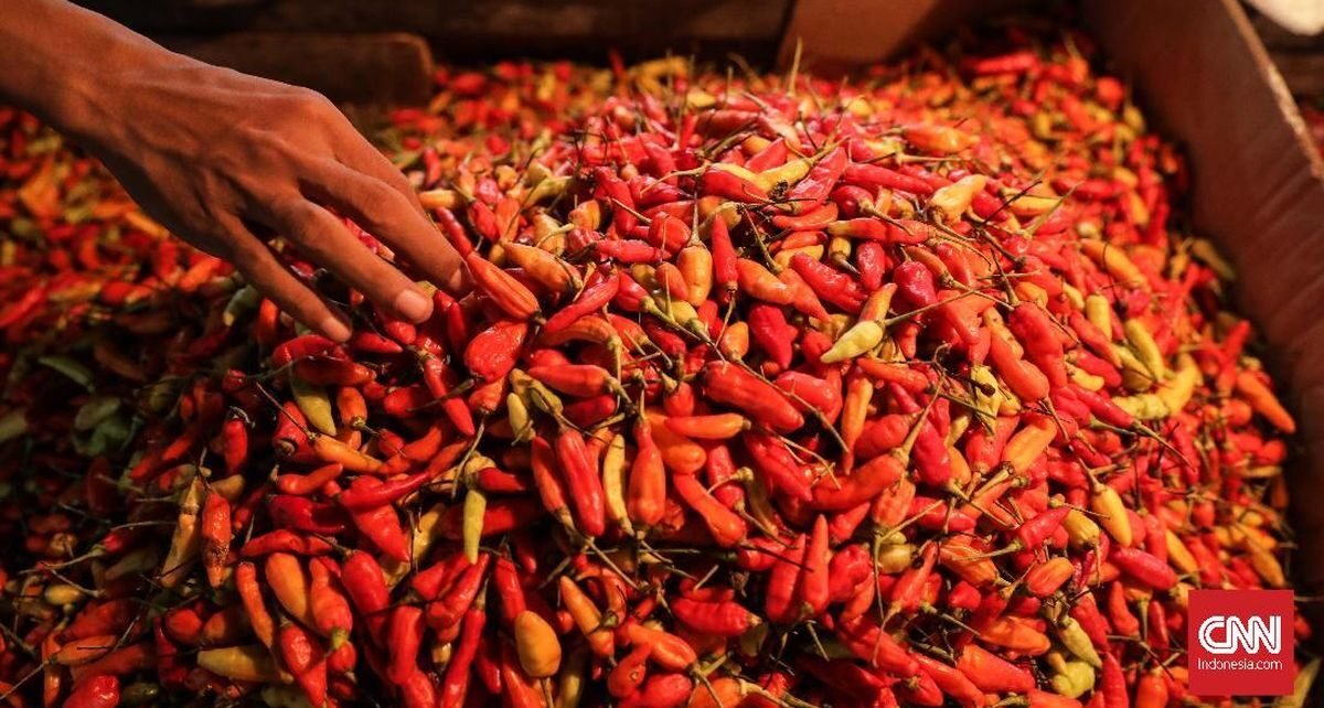 Bapanas Bongkar Biang Kerok Harga Cabai Rawit Kini Setara Daging Sapi