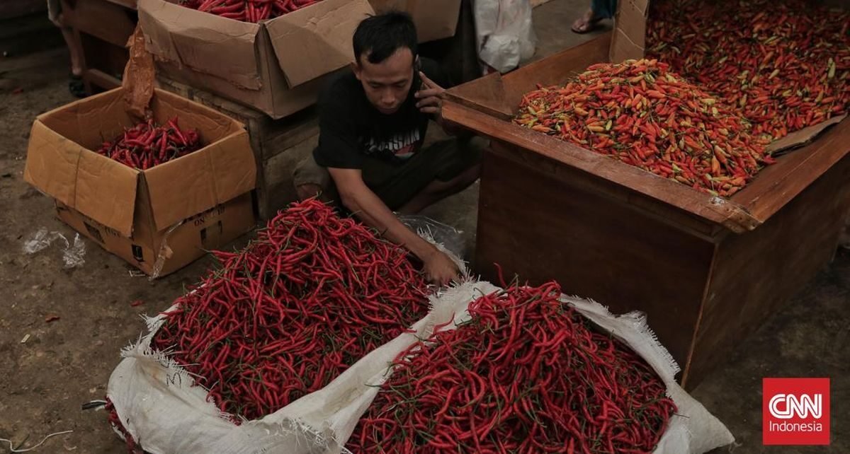 Petani Buka-bukaan soal Alasan Harga Cabai Meroket