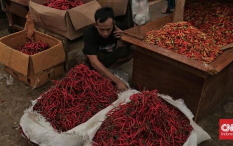 Petani Buka-bukaan soal Alasan Harga Cabai Meroket