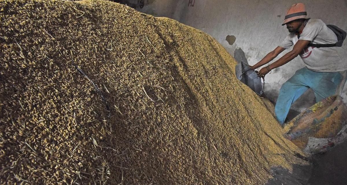 Zulhas Sebut Bulog Beli Gabah Petani Rp6.500 per Kg Mulai 15 Januari