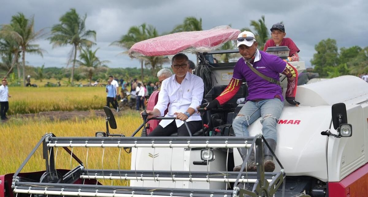 Panen di Banyuasin, Zulhas Tegaskan Gabah Petani Dibeli Bulog Rp65.00