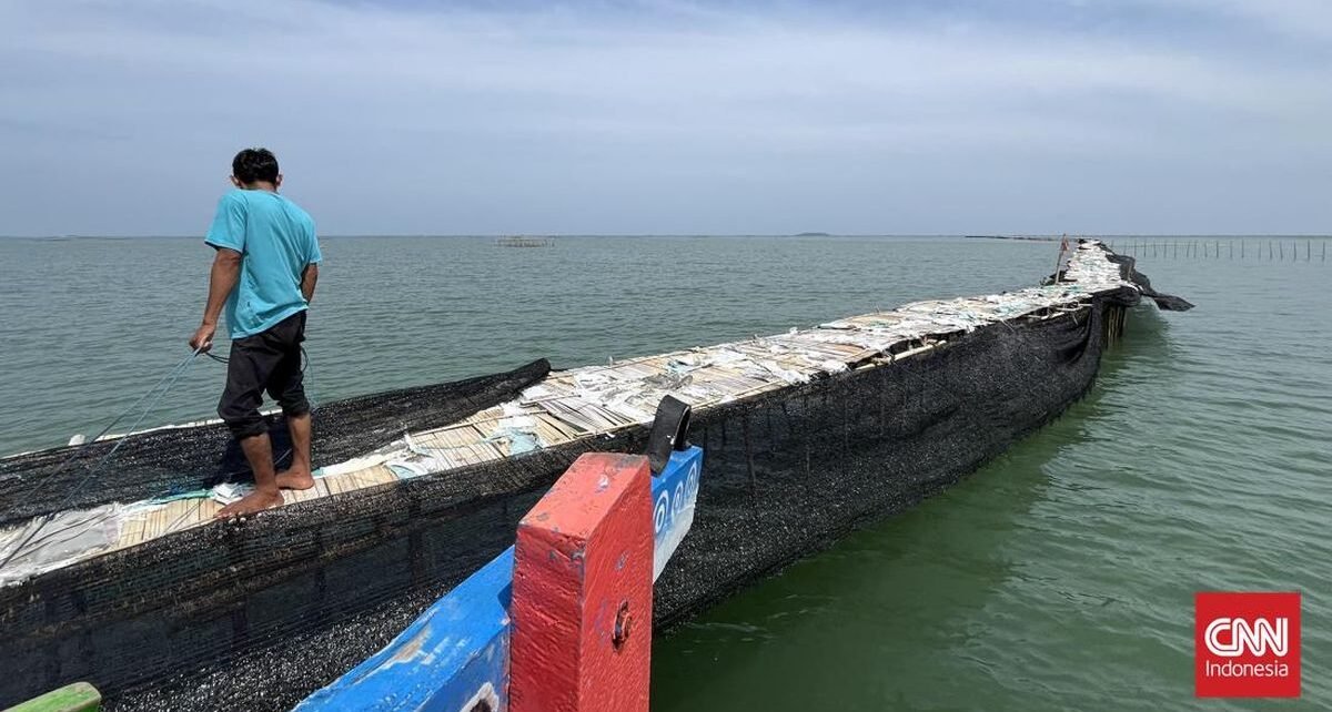Dana Bangun Pagar Laut Diklaim dari Patungan Warga, Berapa Ongkosnya?