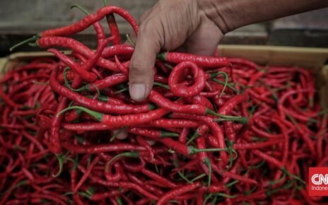 Kementan Ungkap Harga Cabai Melonjak di Tengah Surplus Stok Cabai