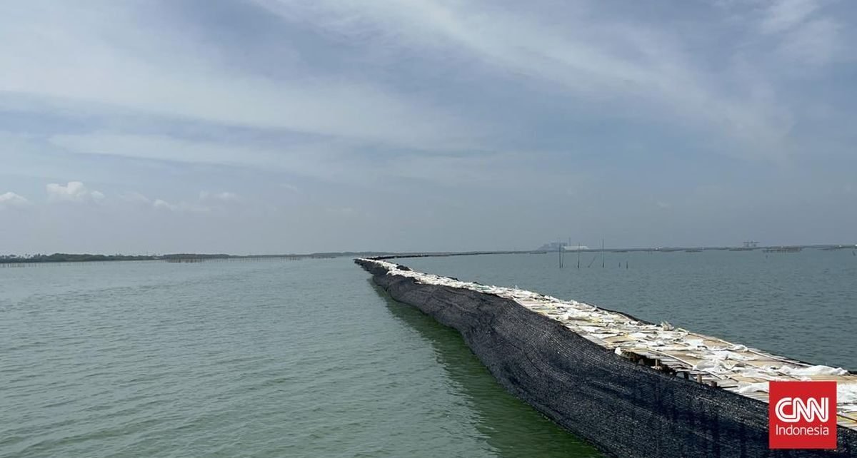 Selain di Tangerang, Pagar Laut 'Misterius' Juga Ditemukan di Bekasi