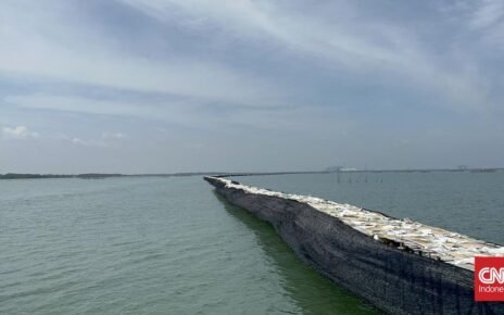 Selain di Tangerang, Pagar Laut 'Misterius' Juga Ditemukan di Bekasi