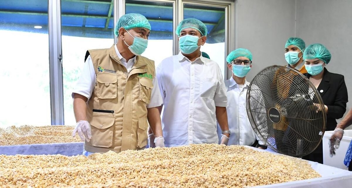 Kemenkop Siap Fasilitasi Kerja Sama Gakoptindo-BGN untuk MBG