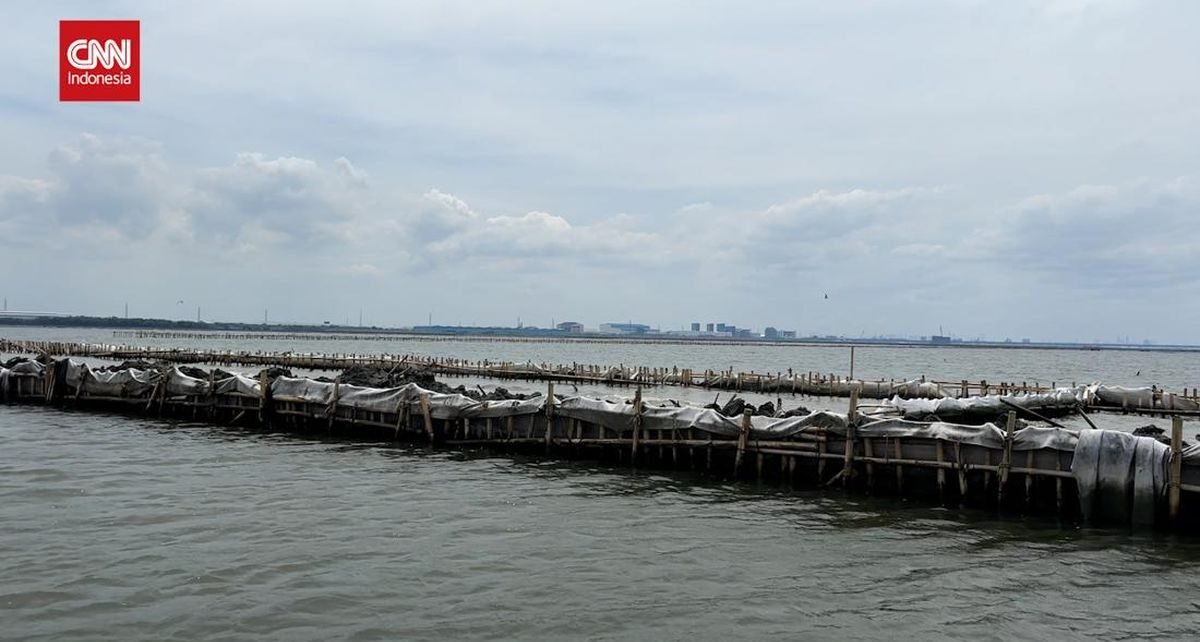 Penampakan Pagar Laut Ilegal di Utara Bekasi yang Disegel KKP