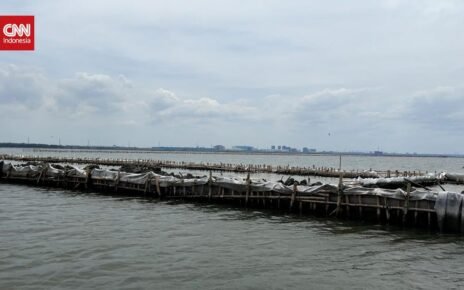 Penampakan Pagar Laut Ilegal di Utara Bekasi yang Disegel KKP