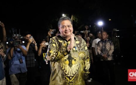 Airlangga Usai RI Masuk BRICS: OECD Juga Butuh Indonesia