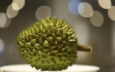 Daftar Sentra Durian Indonesia Usai Kalah Ekspor dari Vietnam