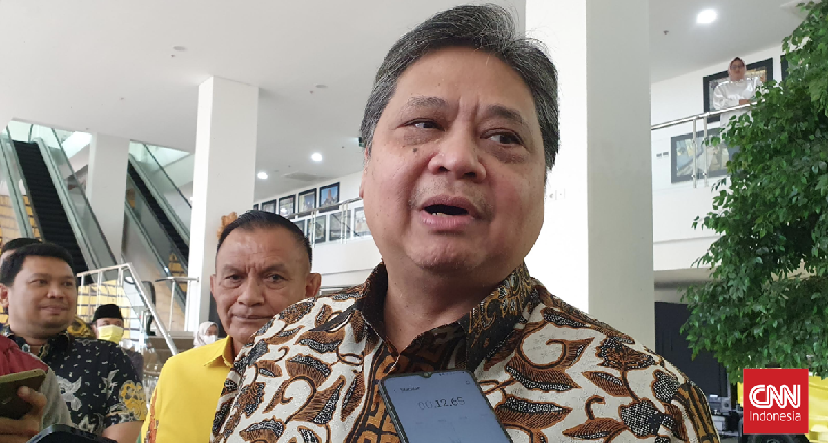 Airlangga Ungkap Alasan Dana Peremajaan Sawit Rakyat Dihentikan
