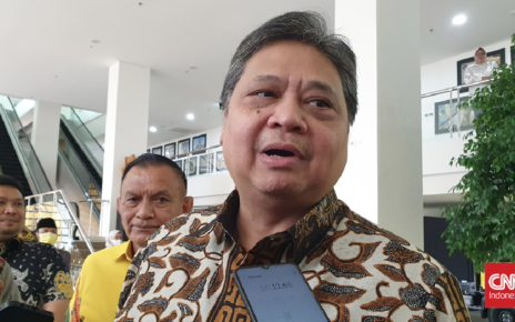 Airlangga Ungkap Alasan Dana Peremajaan Sawit Rakyat Dihentikan