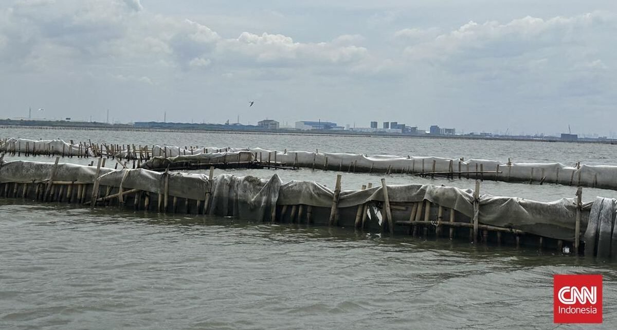 TRPN Ancam Gugat KKP ke DPR Terkait Kasus Pagar Laut Misterius