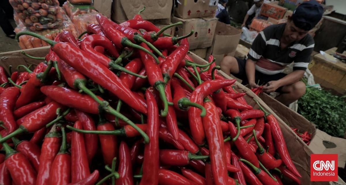 Harga Cabai Makin Pedas di Medan, Tembus Rp56 Ribu per Kg