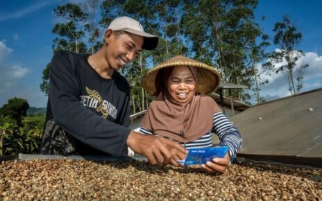 Di 2024, BRI Salurkan KUR Rp184,98 Triliun pada 4 Juta UMKM