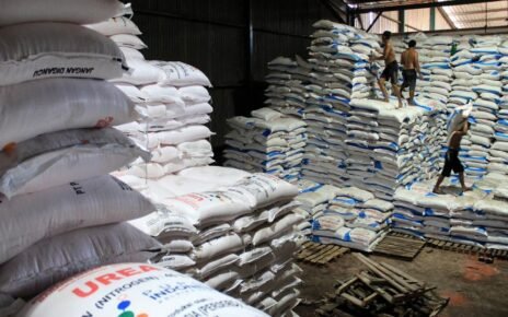 Pengamat Usul Pupuk Subsidi Dihapus, Ganti BLT ke Petani