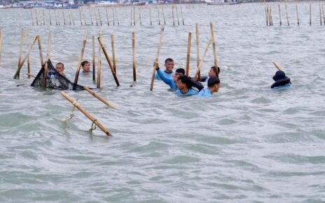 KKP Ungkap Keterbatasan Kewenangan di Kasus Pagar Laut