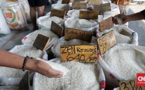 Mentan Klaim Harga Beras Turun ke Rp12 Ribu per Kg
