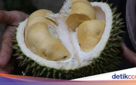 Vietnam Raja Durian, Kalahkan Indonesia dengan Nilai Ekspor Fantastis