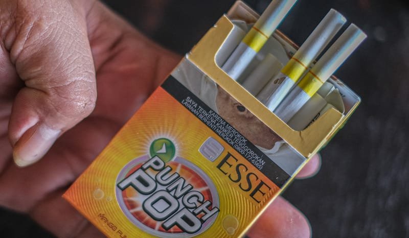 Anggota DPR Usul Anggaran Makan Bergizi Gratis Diambil dari Cukai Rokok