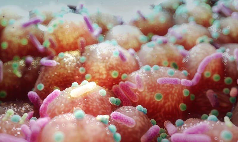 Dame Sally Davies Peringatkan Darurat Antibiotik yang Mengancam Dunia