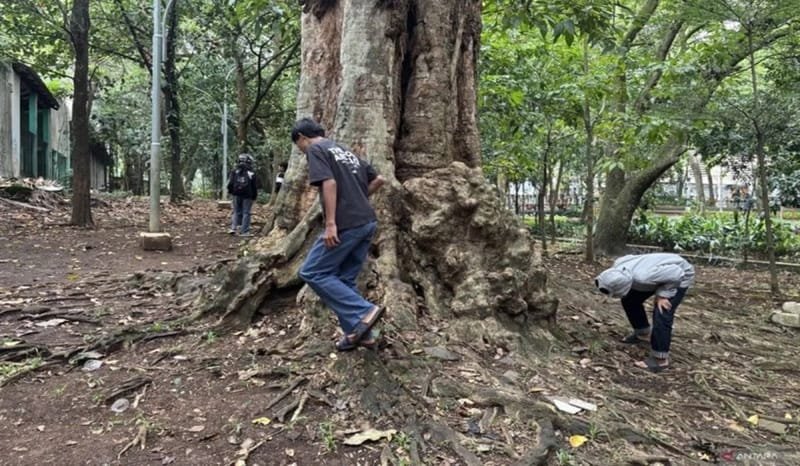 Usai Bertemu Kemenkomdigi, Jagat Ubah Format Permainan Berburu Koin