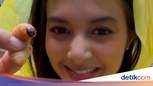 Petualangan Aurelie Moeremans Panen Kopi hingga Makan Ulat Sagu