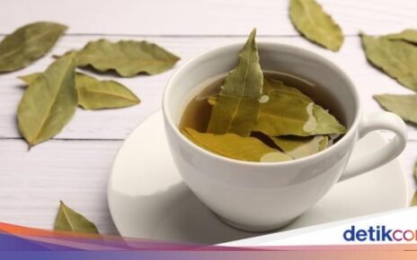 Ini Manfaat dan Efek Samping Minum Air Rebusan Daun Salam