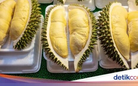 Selain Monthong, Ini 4 Jenis Durian Thailand yang Istimewa