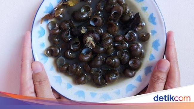 Mirip Bekicot, Apakah Tutut Halal Dikonsumsi Muslim?