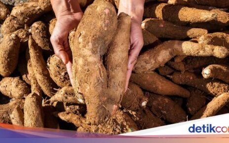 Kekuatan Tanaman Indonesia dalam Menyokong Keberagaman Hayati Global