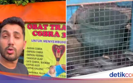 Influencer India Ini Kaget Ada Warung Sate Ular Kobra di Indonesia