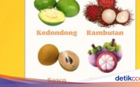 Ini Kalender Musim Buah Lokal Indonesia 2025