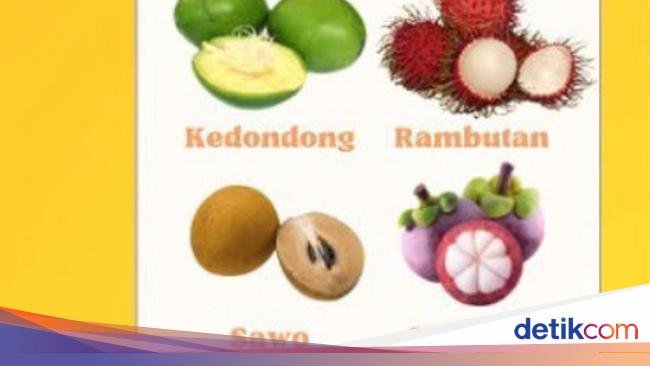 Ini Kalender Musim Buah Lokal Indonesia 2025