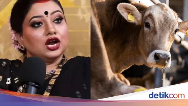 Wanita Ini Minum Urin Sapi Selama 45 hari Demi Tebus Dosa