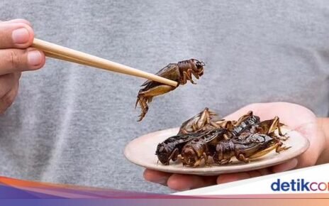 Makan Belalang Terbukti Bikin Gairah Seksual Pria Makin Kuat