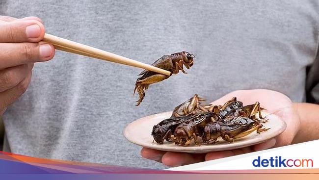 Makan Belalang Terbukti Bikin Gairah Seksual Pria Makin Kuat