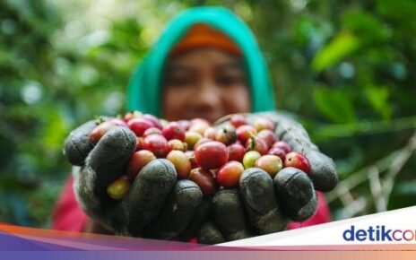 7 Negara Produsen Kopi Terbaik di Dunia, Indonesia Masuk Daftar!