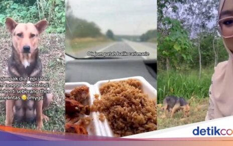 Mulia! Pasutri Rela Berkendara Jauh Demi Beli Makanan Untuk Anjing Liar