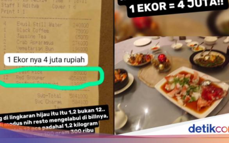 Pengunjung Merasa Dijebak Pesan Ikan Kerapu Rp 4 Juta Per Porsi, Ini Faktanya!
