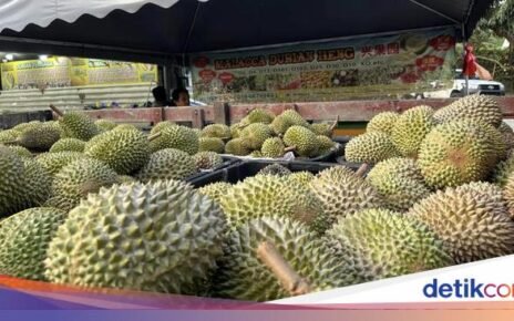 Penjual Ini Dipuji Karena Tidak Getok Harga Durian ke Turis